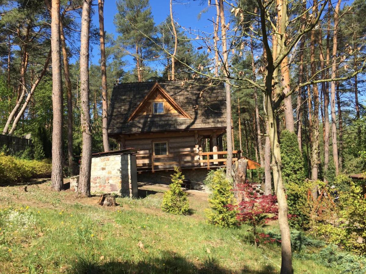 Domek Z Bali Tryszczyn Nad Brda Eksteriør billede
