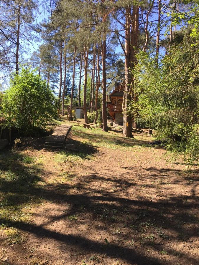 Domek Z Bali Tryszczyn Nad Brda Eksteriør billede