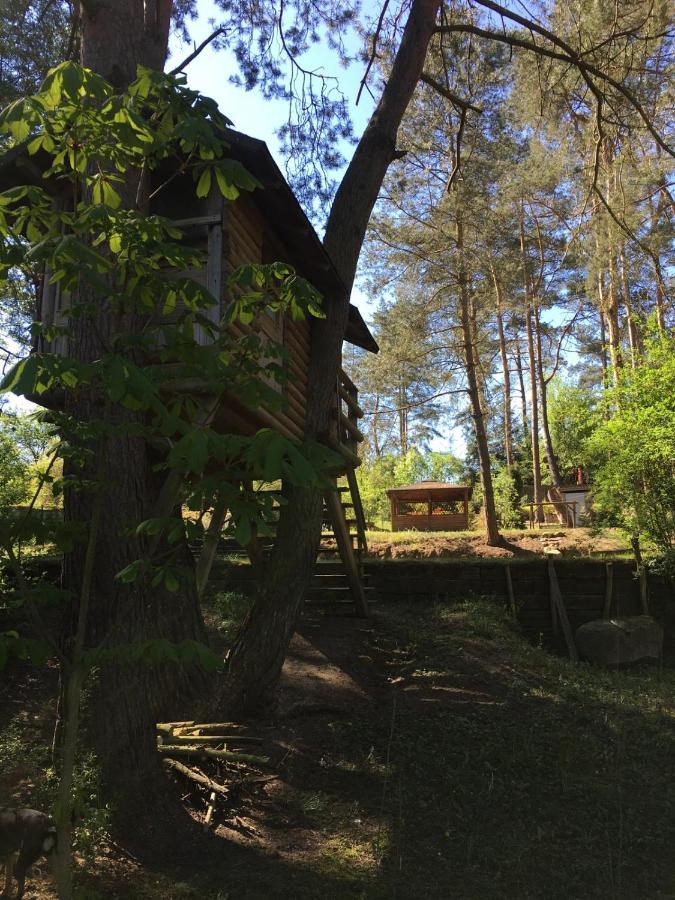 Domek Z Bali Tryszczyn Nad Brda Eksteriør billede